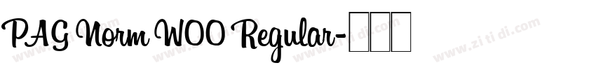 PAG Norm W00 Regular字体转换